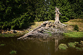 AllgaeuerWasserwelt (4v9)_t.jpg